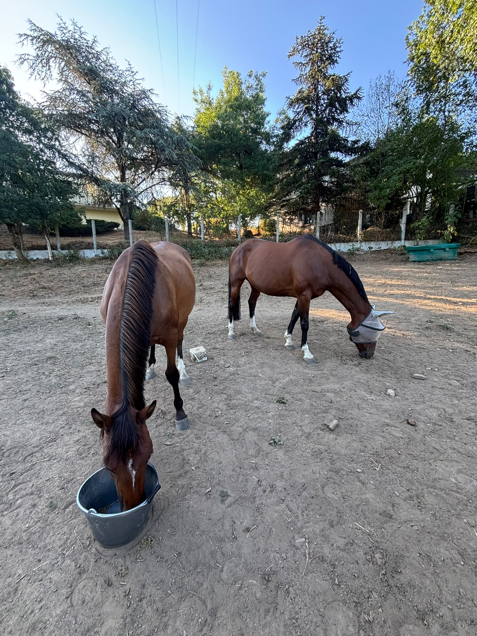Entraînement harmonieux sous le coucher de soleil